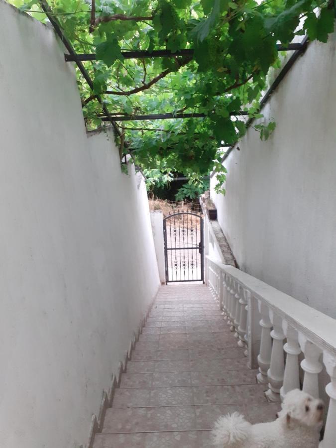 הרצג-נובי Guest House Cvoro חדר תמונה