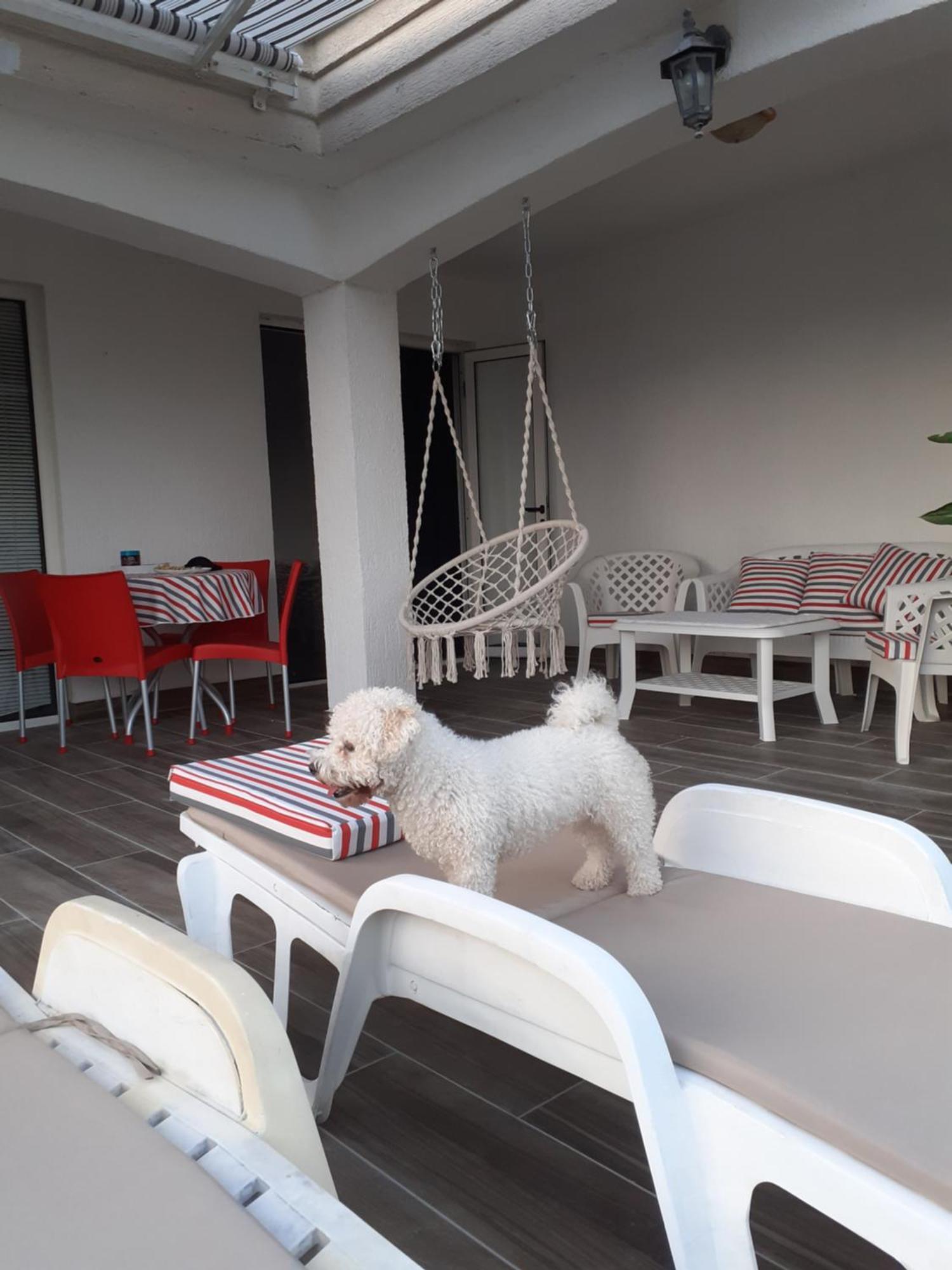 הרצג-נובי Guest House Cvoro חדר תמונה