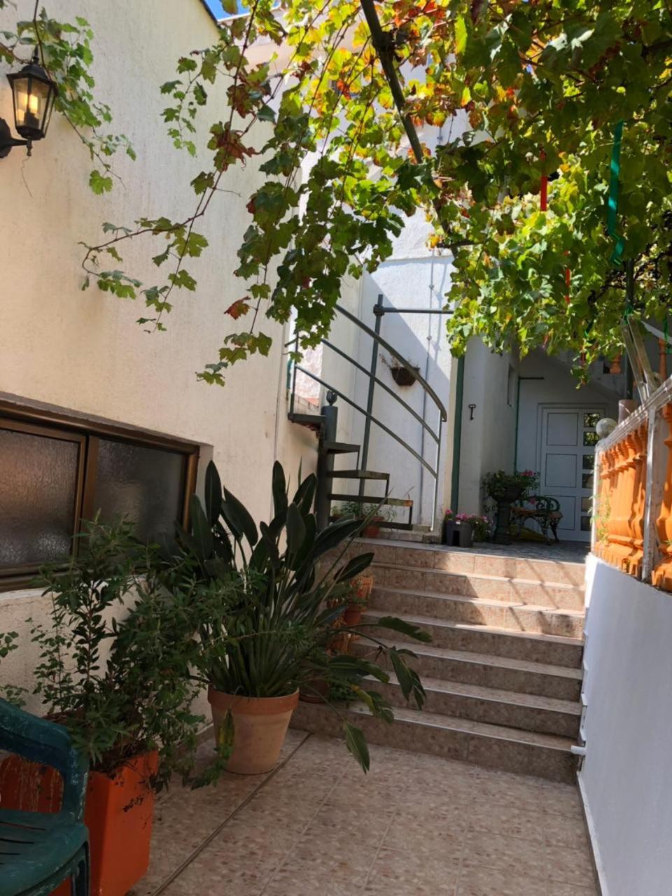 הרצג-נובי Guest House Cvoro מראה חיצוני תמונה